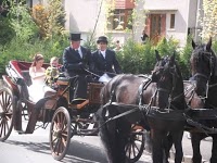 Prestige Wedding Carriages 1076048 Image 6